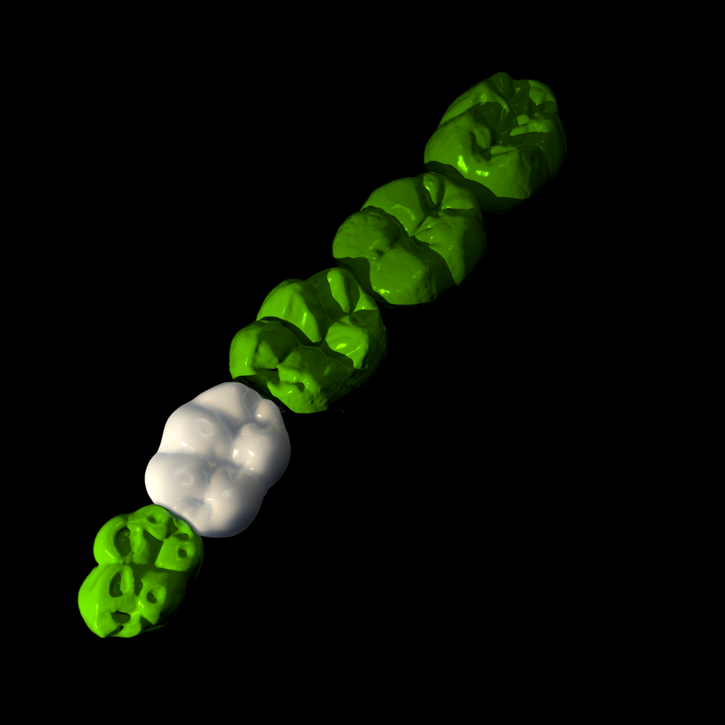 homininnatureteeth02